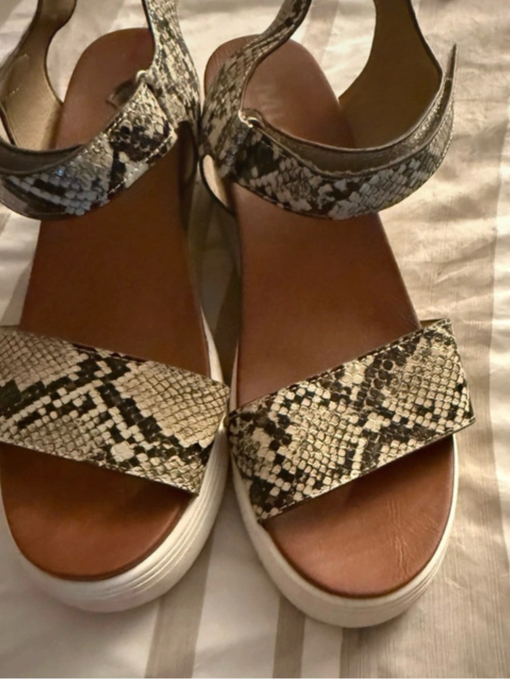 MIA Snake-Print Platform Sandals in Black and Cream